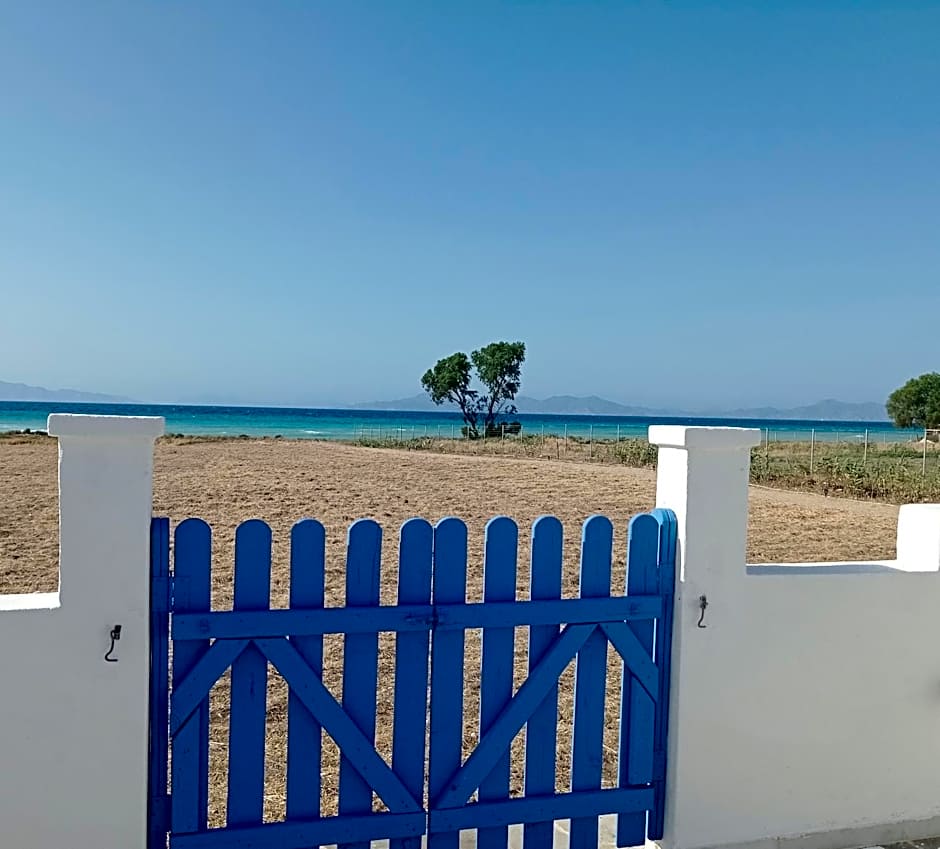 Nautilus Beach House