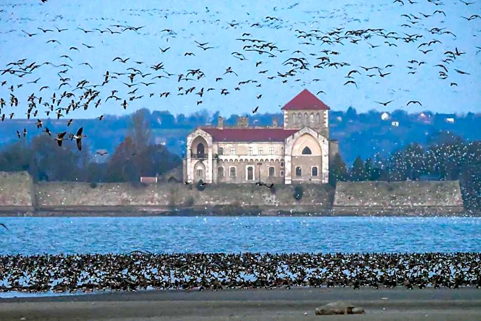 Kastélykert Vendégház Tata