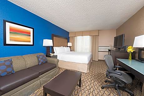 1 King Standard Sofa Bed