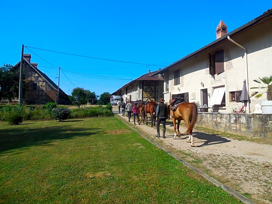 chambre d’hôtes la jument grise