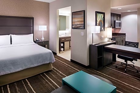 1 King Bed Studio Suite Nonsmoking