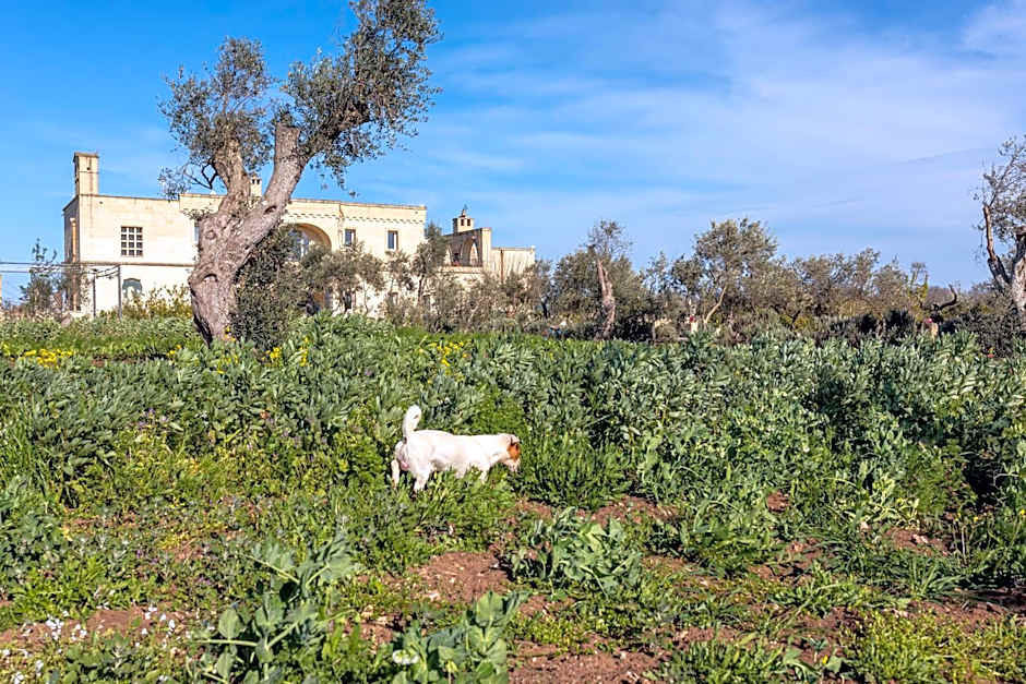 Masseria Borgo Segine - Relais nel Salento