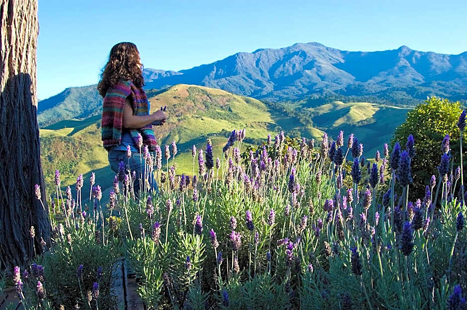 Casa da Colina Chalés