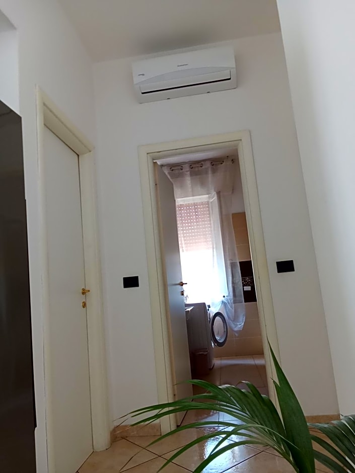 M. BINI B&B