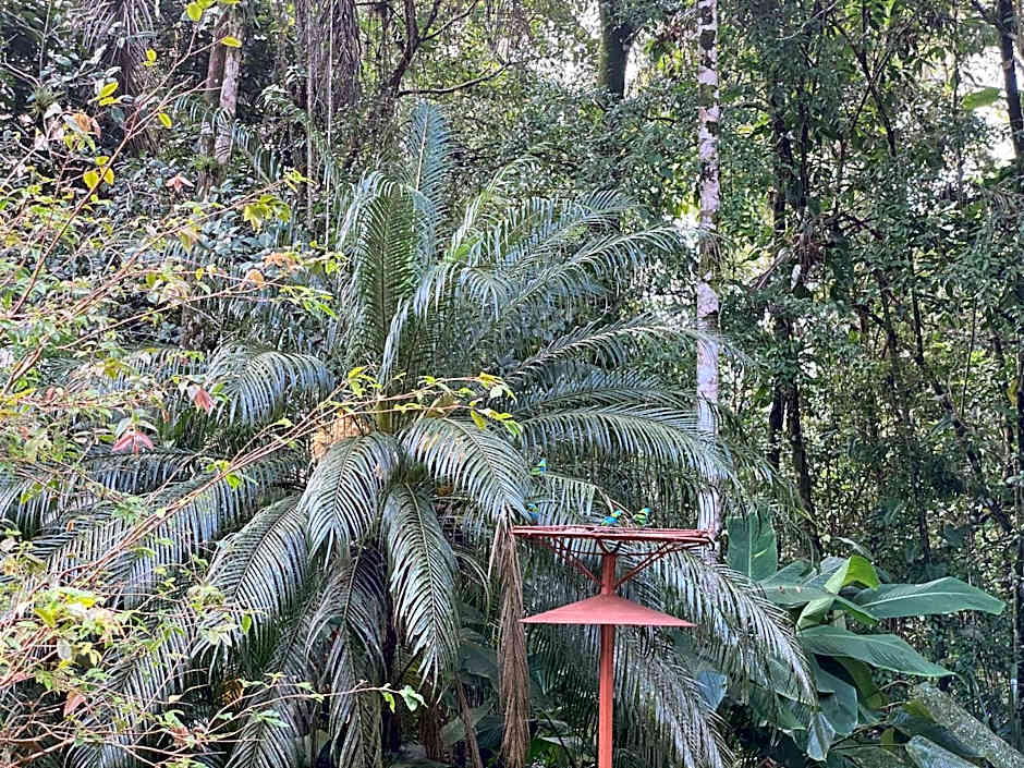 Flat Estudio 220 amarílis 3 Piscinas climatizadas, carregar veiculo eletrico, Bertioga, Riviera de São Lourenço Apartamento estúdio, cozinha equipada completa, serviço de hotelaria, limpeza e trocas diária de toalhas, WI-FI 500 MB