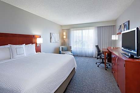 King Room with Sofa Bed