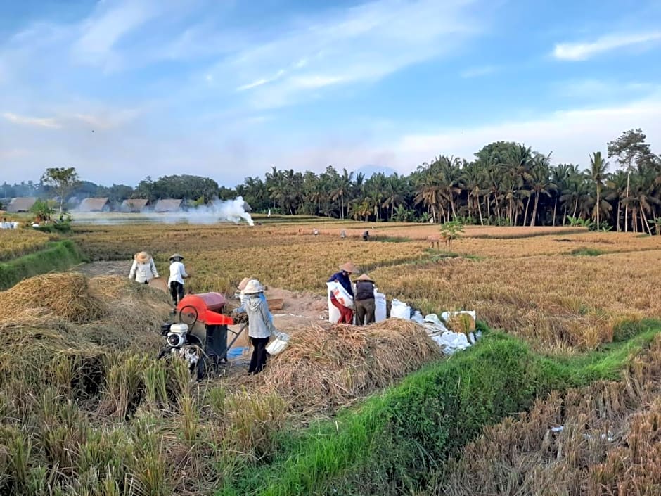 Pondok Gandalangu Ubud-Dikelilingi Hamparan Sawah