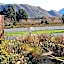 Western House B&B Kurow
