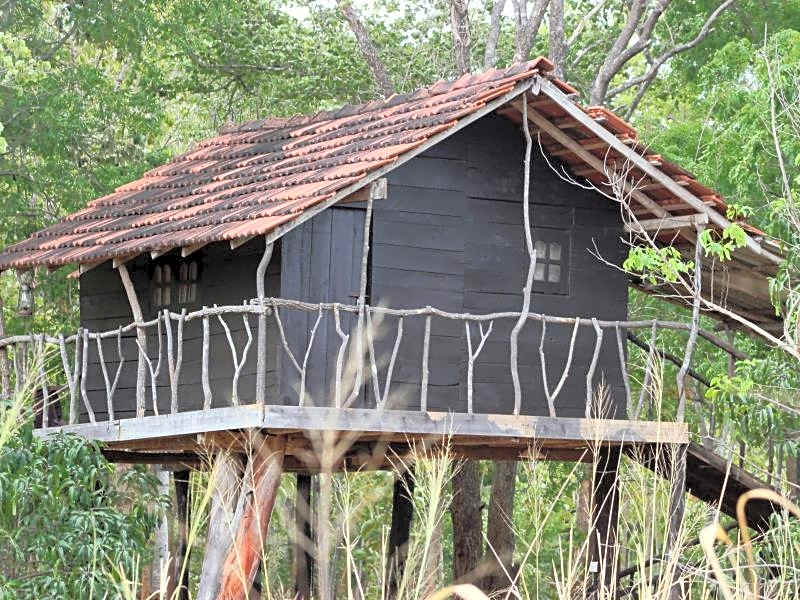 Eagle's Wings Guest House