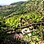Pietrantica - Affittacamere con giardino NUOVA APERTURA a Trebiano -CITR