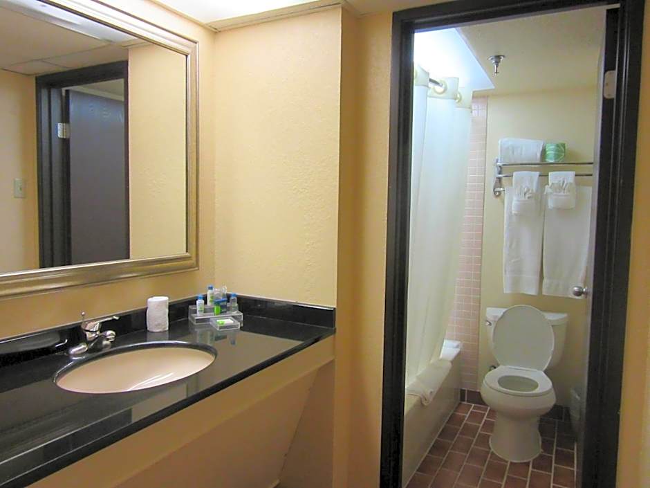 Atrium Hotel And Suites Dfw Airport