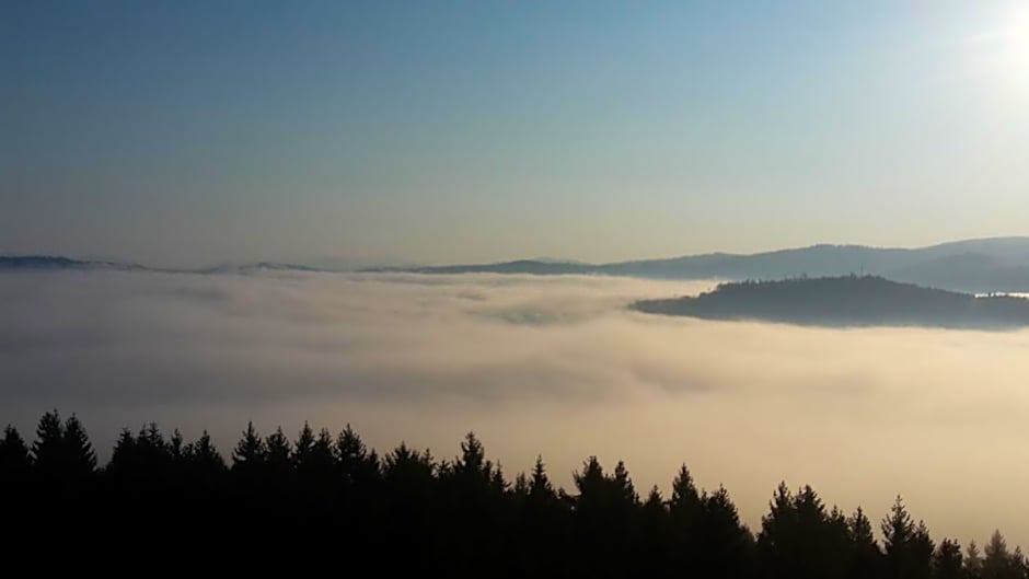 Chambre&Table d'hotes PtitMonde
