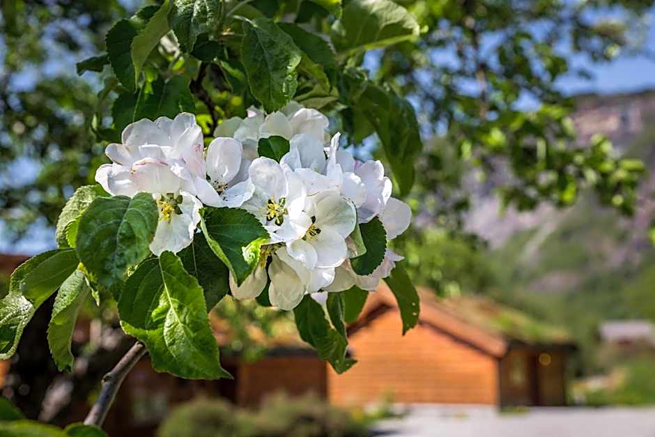 Gaupnetunet Hotell og Hytter