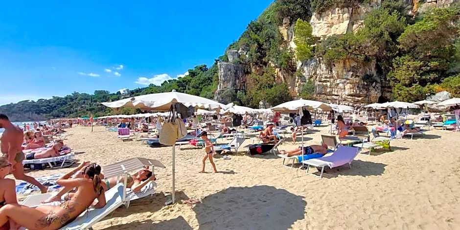 Hotel Arenauta