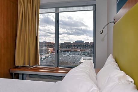 1 Bedroom Suite, 1 King, Sofa beds: 2