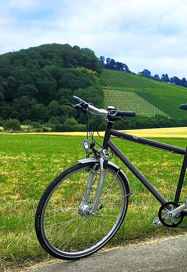 Hotel Sonnenhof Aspach