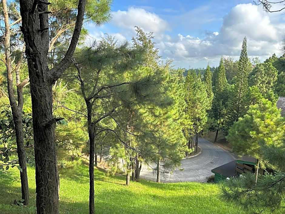 Crosswinds Family Standard Suite