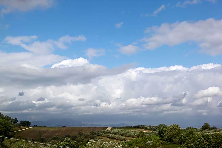 La Dolce Vista Bed&Breakfast