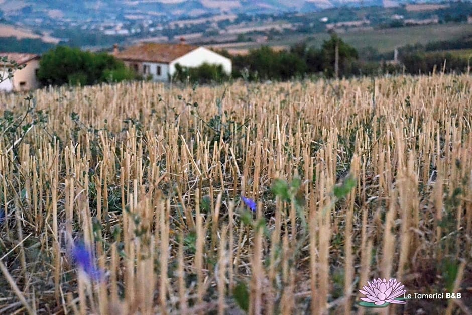 B&B Le Tamerici