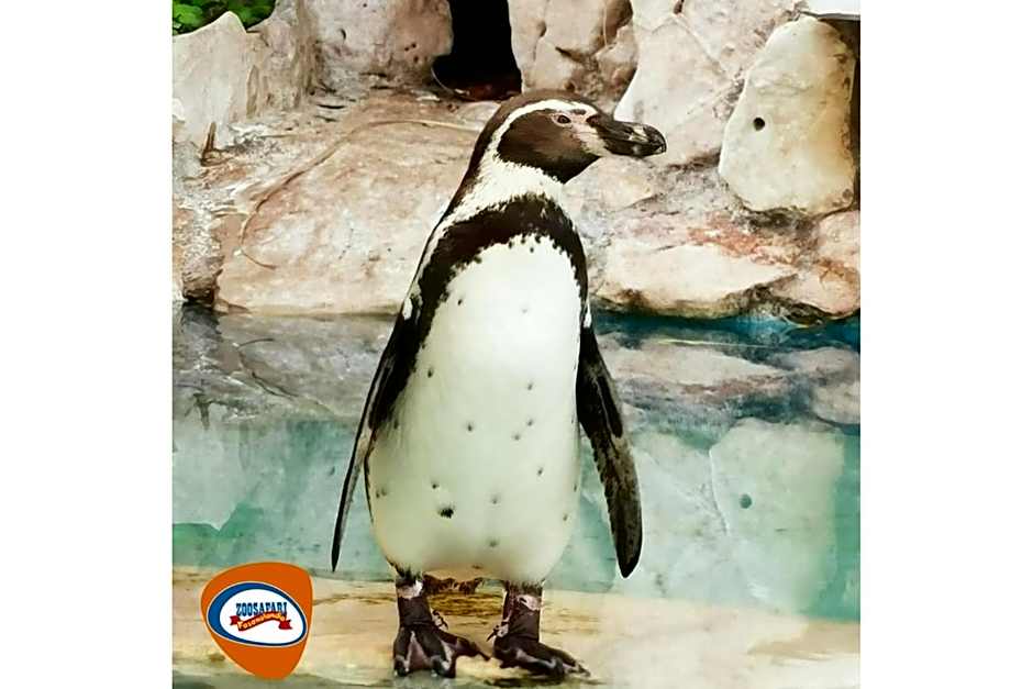 Palazzo De Luca by Apulia Hospitality