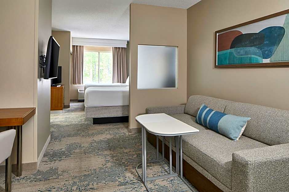 SpringHill Suites by Marriott Atlanta Alpharetta