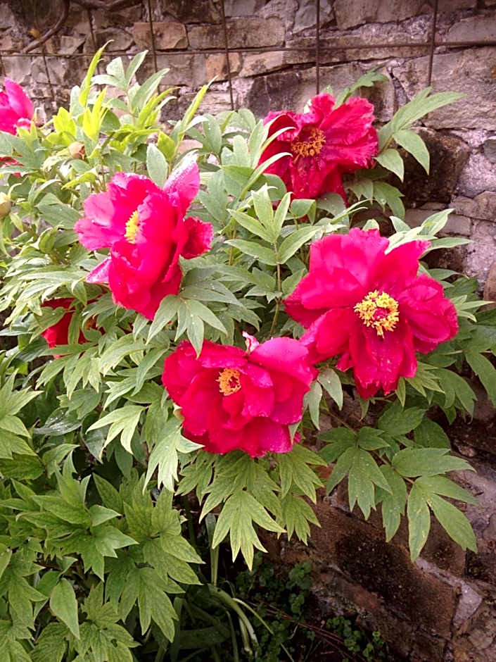 Chambres d'hôtes Kayros