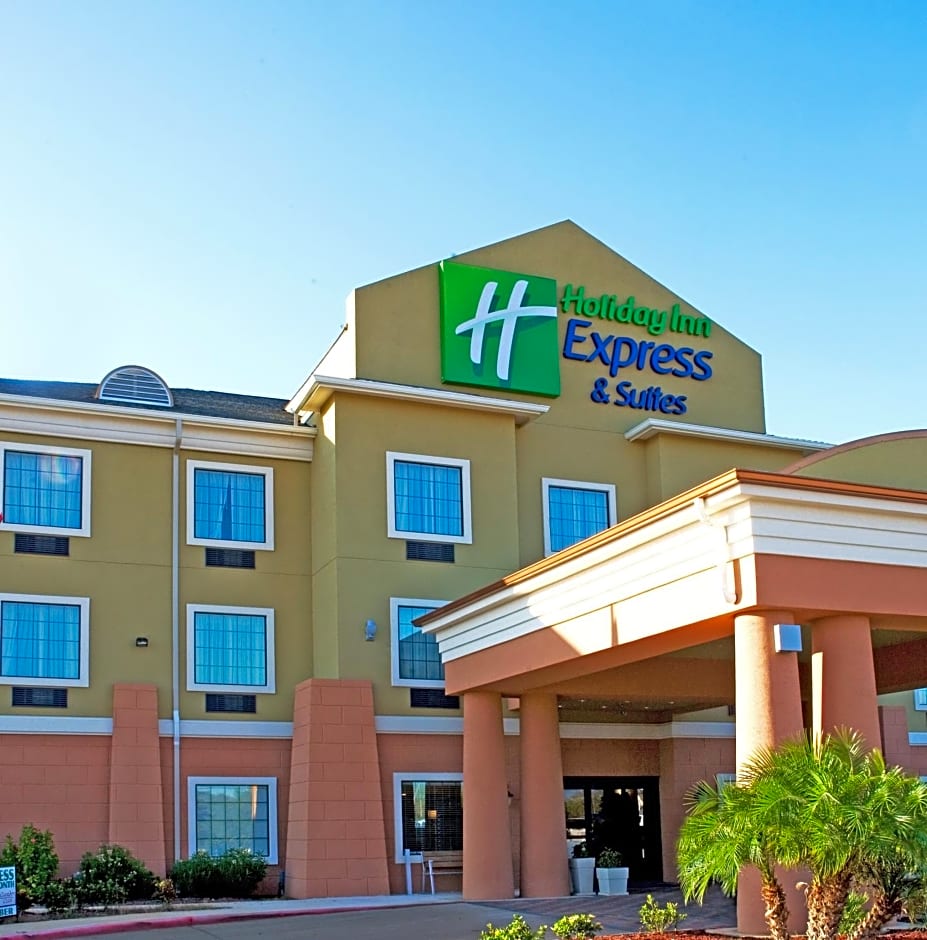 Holiday Inn Express Hotel & Suites Jourdanton Pleasanton