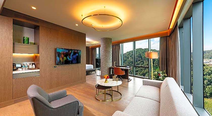 Radisson Collection Hotel, Vadistanbul