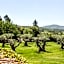 Domaine Les Mésanges