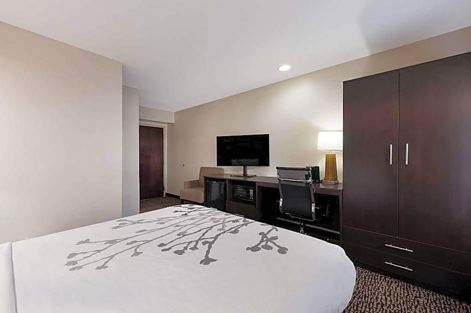 Sleep Inn Kernersville I-40