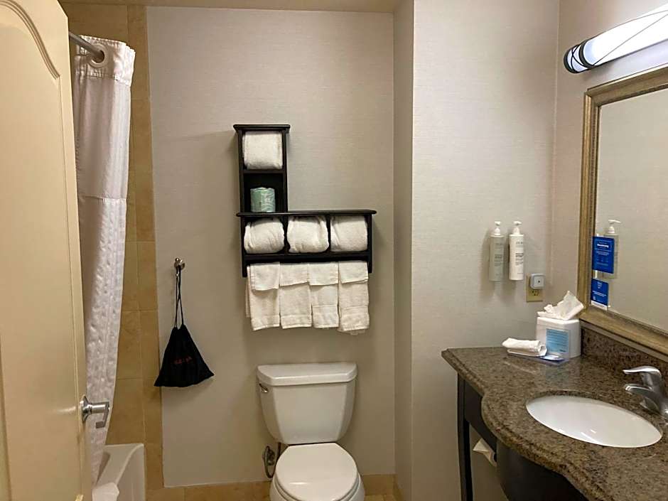 Hampton Inn By Hilton & Suites Carlsbad