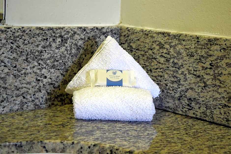 Value Inn - Livonia