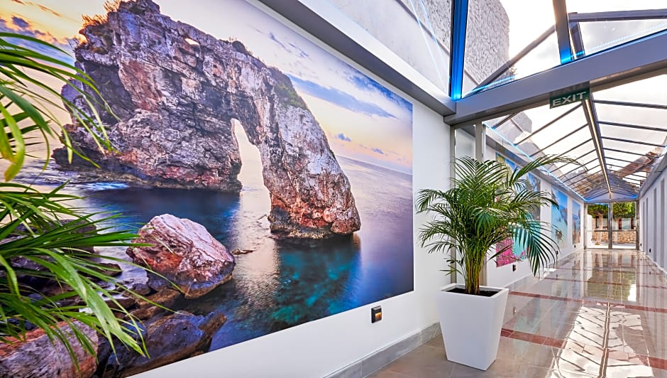 Globales Torrenova Adults Only +16