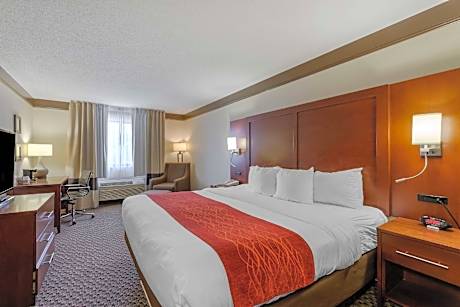 1 King Bed, Nonsmoking