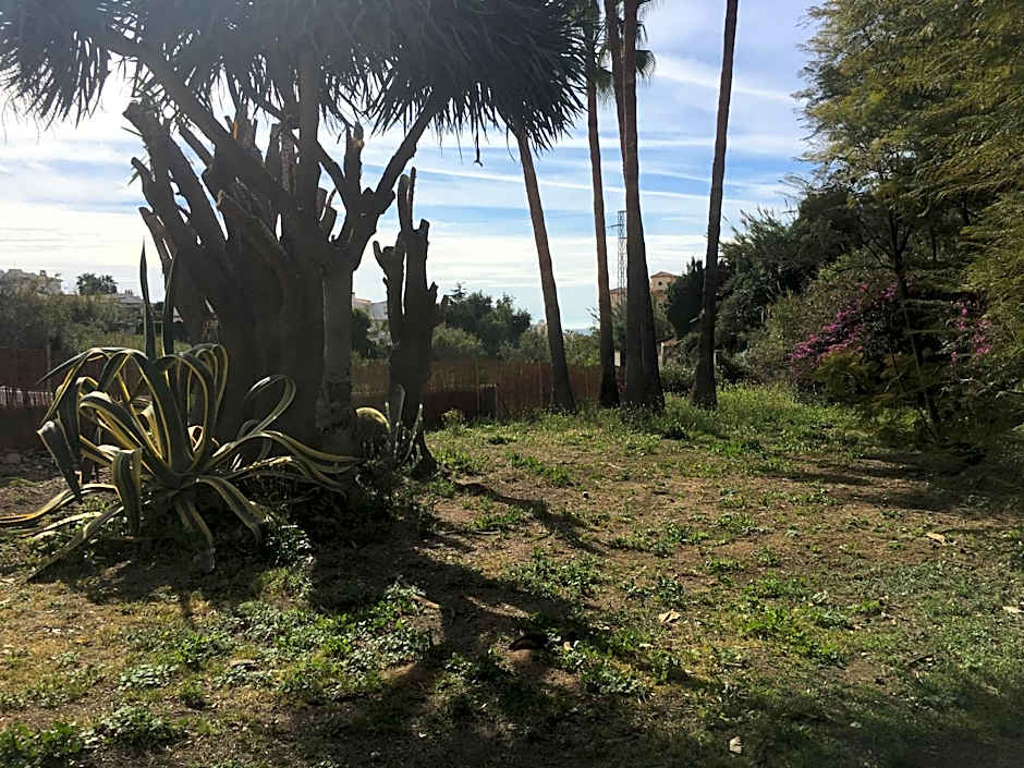 Casa Rural Paloma B&B