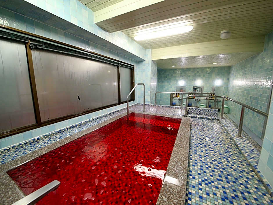 Hotel Naito Kofu Showa