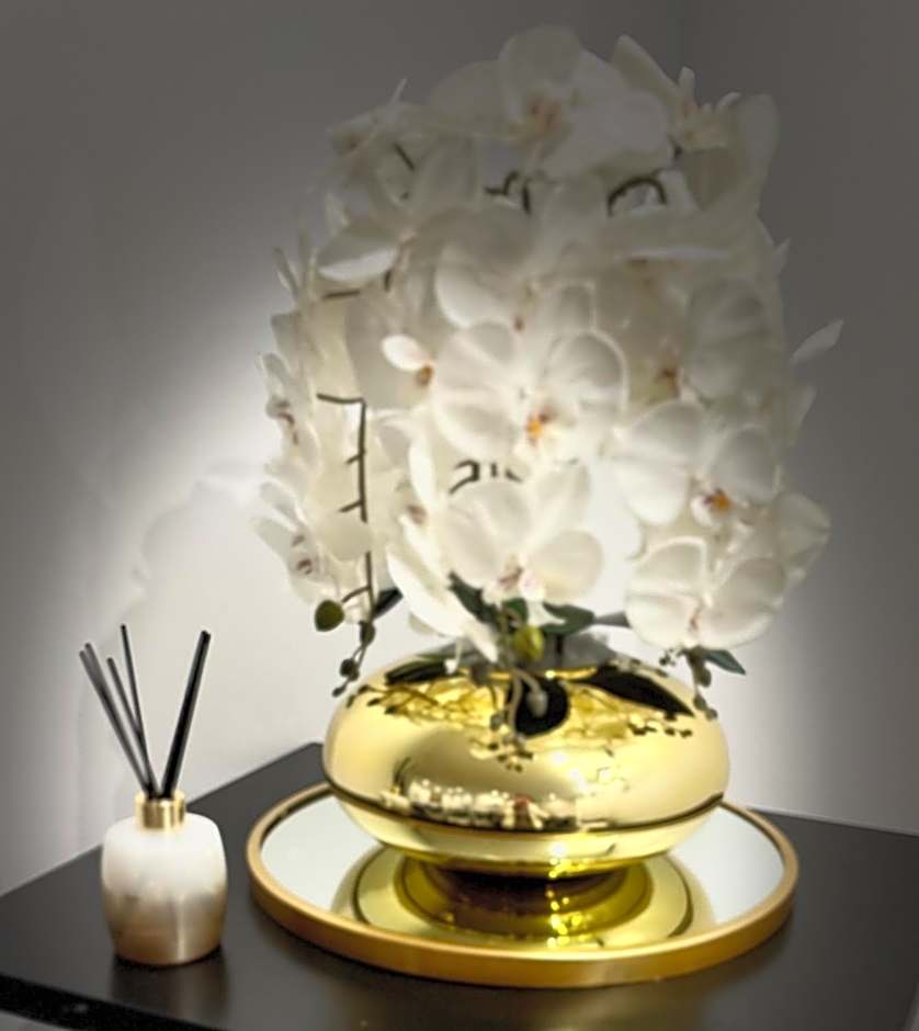 Hotel Riviera Renovated