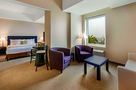 1 King Bed Suite