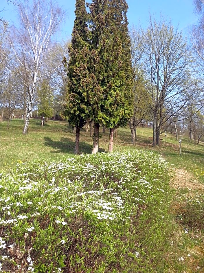 Vitalhotel König am Park