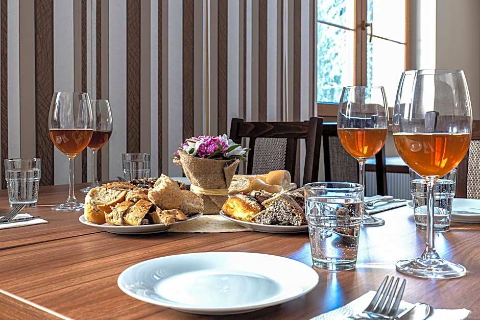 Wellness Hotel pod Kyčmolem