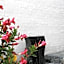 Amalie Bed and Breakfast & Apartments