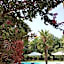 B&B Villa delle Palme
