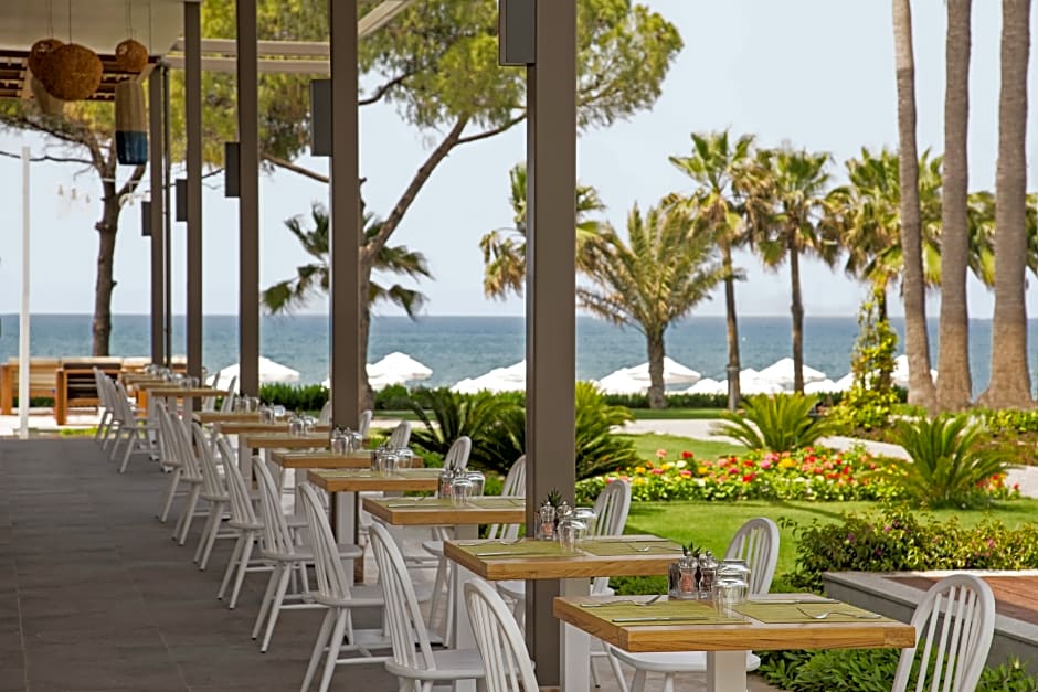 Acanthus and Cennet Barut Collectio