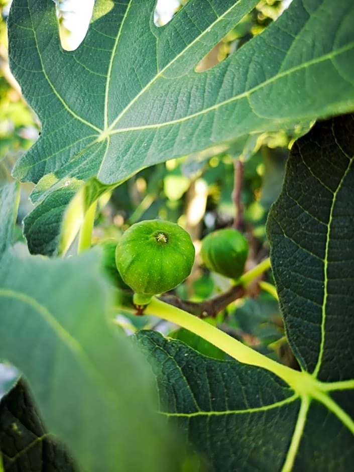 Alloggio del Fiume - Le Vecchie Vasche