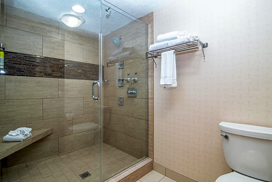 Holiday Inn Express Spokane-Downtown By IHG