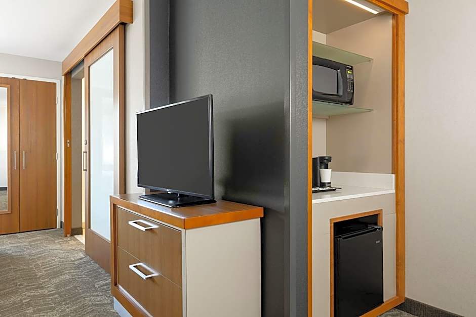 SpringHill Suites by Marriott Wisconsin Dells