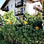 Hotel Chalet La Meridiana