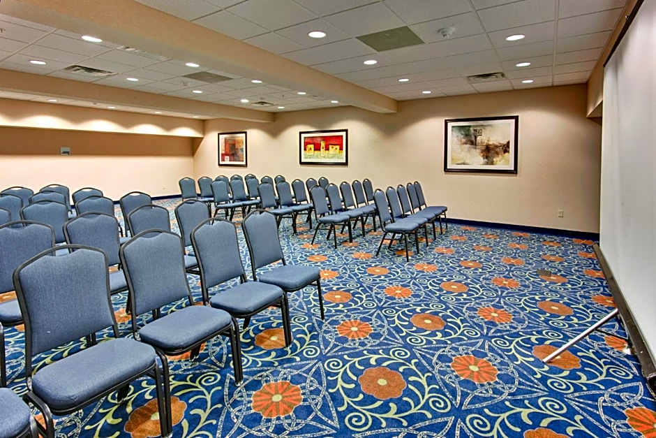 Holiday Inn Express Hotel & Suites - Novi
