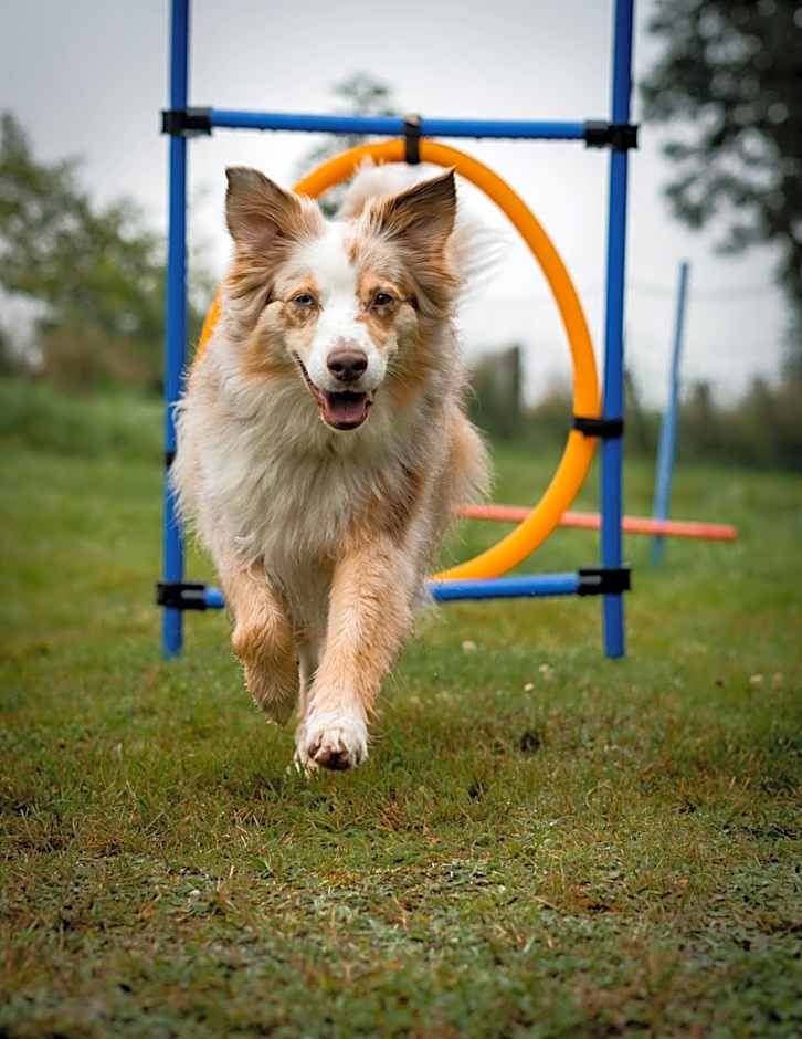 Berghotel Steiger - Erzgebirge