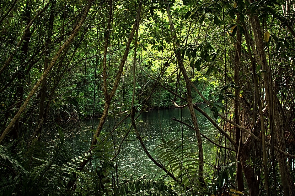 Hacienda Tres Rios Resort Spa & Nature Park - All Inclusive